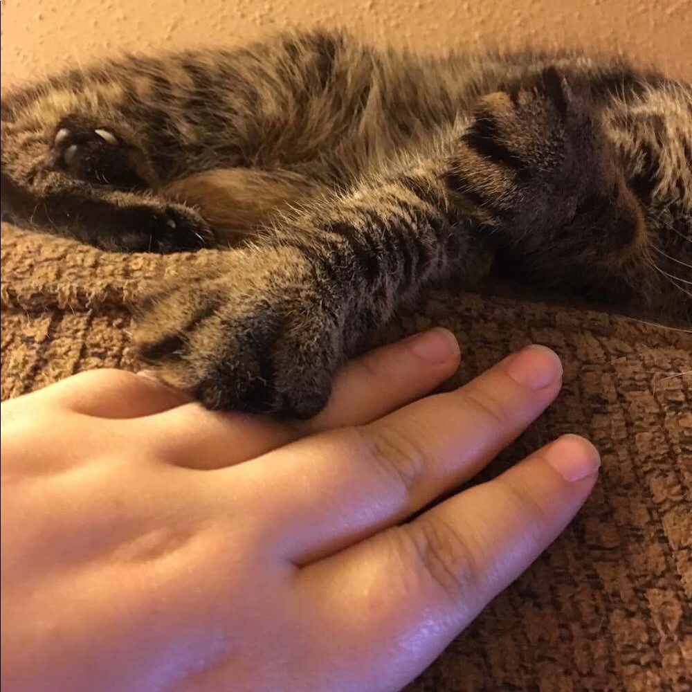 Meet your Posher, Kay